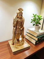 Golden Fiber Poly Resin Premium Murugan Idol