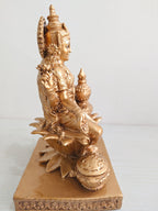 Zap Impex Brass Lakshmi Idol