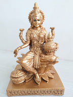 Zap Impex Brass Lakshmi Idol